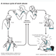 Image for article titled How to deal with an abusive boss